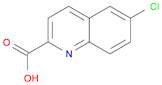 6-CHLOROQUINOLINE-2-CARBOXYLIC ACID