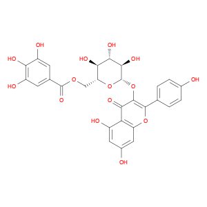 Kaempferol-3-O-(6′′-galloyl)-β-glucopyranoside