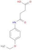 4-((4-Ethoxyphenyl)amino)-4-oxobutanoic acid