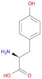 L-Tyrosine