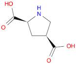 L-CIS-PYRROLIDINE-2,4-DICARBOXYLIC ACID