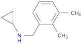 N-(2,3-diMethylbenzyl)cyclopropanaMine