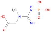 Creatine phosphate