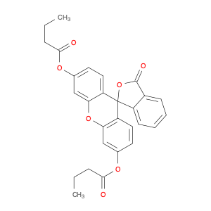 FLUORESCEIN DIBUTYRATE