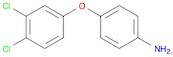 4-(3,4-DICHLOROPHENOXY)ANILINE