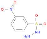 2-NITROBENZENESULFONYL HYDRAZINE