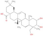 Bayogenin