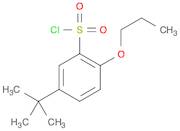 5-(tert-Butyl)-2-propoxybenzene-1-sulfonyl chloride