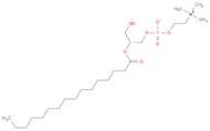 2-PalMitoyl-sn-glycero-3-phosphocholine