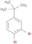 1 2-DIBROMO-4-TERT-BUTYLBENZENE 97