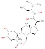 homobrassinolide