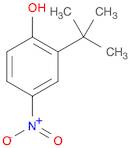 2-TERT-BUTYL-4-NITROPHENOL