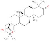 moronic acid