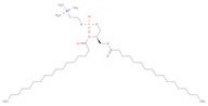 L-A-PHOSPHATIDYLCHOLINE DIHEPTADECANOYL SYNTHETIC