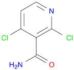 2,4-DichloronicotinaMide