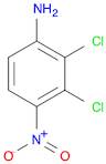 BENZENAMINE, 2,3-DICHLORO-4-NITRO-