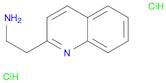 2-(quinolin-2-yl)ethanamine dihydrochloride