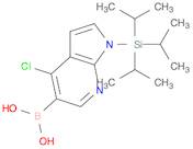 Boronic acid, [4-chloro-1-[tris(1-methylethyl)silyl]-1H-pyrrolo[2,3-b]pyridin-5-yl]- (9CI)