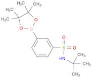 3-(tert-butylaMino)sulfonyl-phenylboronic acid pinacol ester