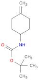 Carbamic acid, (4-methylenecyclohexyl)-, 1,1-dimethylethyl ester (9CI)