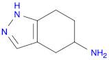 4,5,6,7-Tetrahydro-2H-indazol-5-amine