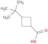 3-tert-butylcyclobutane-1-carboxylic acid