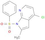 1H-Pyrrolo[2,3-b]pyridine, 4-chloro-2-Methyl-1-(phenylsulfonyl)-