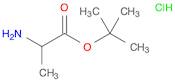 tert-Butyl 2-aminopropanoate hydrochloride