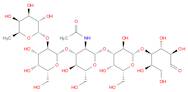 LACTO-N-FUCOPENTAOSE I