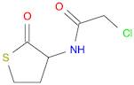 N-CHLOROACETYL-DL-HOMOCYSTEINE THIOLACTONE