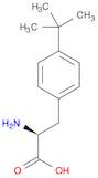 L-4-TERT-BUTYL-PHE