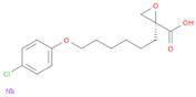 ANTI-EAPII (TTRAP)