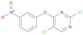 2,5-dichloro-4-(3-nitrophenoxy)pyriMidine