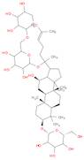 GYPENOSIDE IX