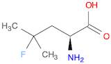 (S)-2-AMINO-4-FLUORO-4-METHYLPENTANOIC ACID