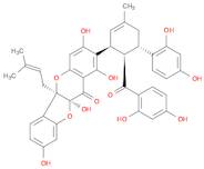 Sanggenon C