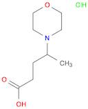 4-morpholin-4-ylpentanoic acid