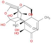 EURYCOMANONE