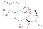 glaucocalyxin A