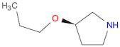 (R)-3-PROPOXY-PYRROLIDINE