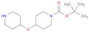 4-(Piperidin-4-yloxy)-piperidine-1-carboxylic acid tert-butyl ester