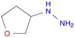 (tetrahydro-3-furanyl)Hydrazine