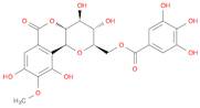 11-O-Galloylbergenin