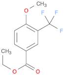 Benzoic acid, 4-Methoxy-3-(trifluoroMethyl)-, ethyl ester