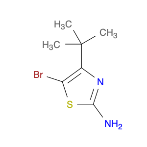 2-AMino-5-broMo-4-t-butylthiazole