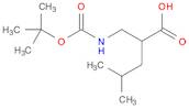 (R,S)-2-Isobutyl-3-(boc-aMino)propanoic acid