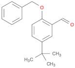 Benzaldehyde, 5-(1,1-diMethylethyl)-2-(phenylMethoxy)-