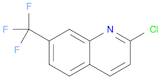 2-chloro-7-(trifluoroMethyl) quinoline