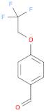 4-(2,2,2-Trifluoroethoxy)benzaldehyde