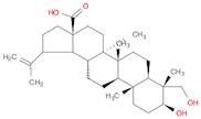 23-HYDROXYBETULINIC ACID